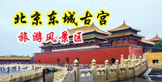 大黑逼12p中国北京-东城古宫旅游风景区